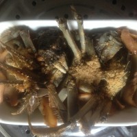 姜汁红糖老酒蟹——暖身菜的做法图解6