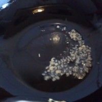 酸甜又开胃京都骨