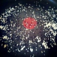 ˫֥°èºÉÀ¼¶¹¼õ·Ê¼ÑëÈ