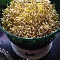 素食之炝拌三丝