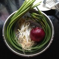 素食之炝拌三丝