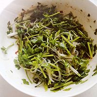 做正宗酱汁香菜拌粉丝的图片步骤8