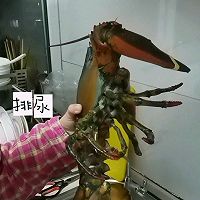 做正宗蒜蓉烤龙虾的图片步骤1