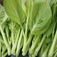 做正宗清炒白菜苔的图片步骤1