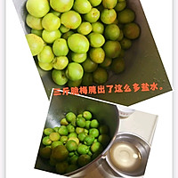 做正宗汕头甜脆梅的图片步骤1