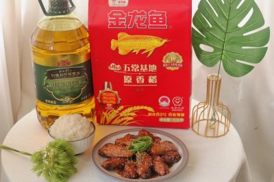 展翅高飞----可乐鸡翅