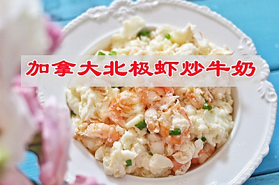 加拿大北极虾炒牛奶